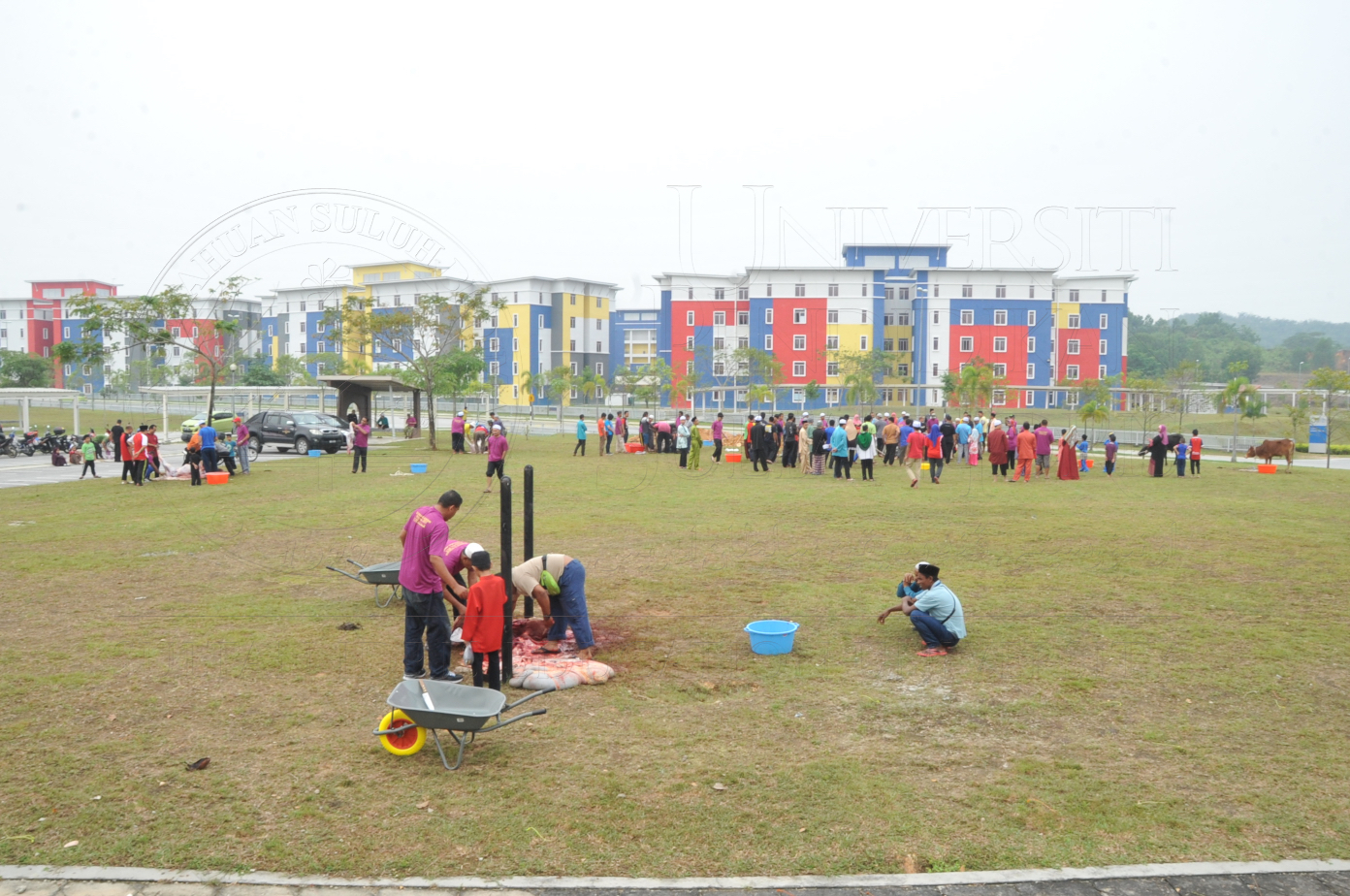 PRO15 150 KORBAN HAS 6861